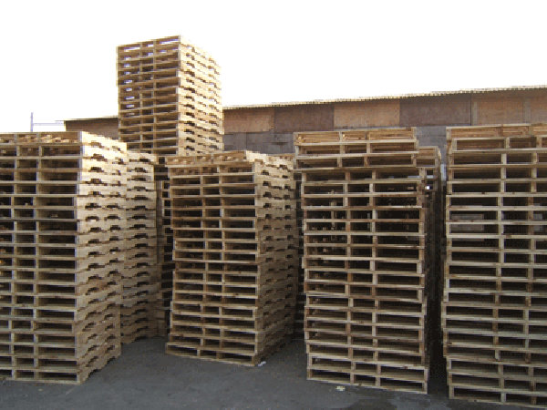 ʲô��ľ�бP(p��n)